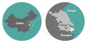 Read more about the article Nghệ thuật ấm trà tử sa và cách chọn ấm