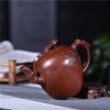 am-tu-sa-canh-en-bao-xuan Ấm Tử Sa Cánh Én Báo Xuân 440ml